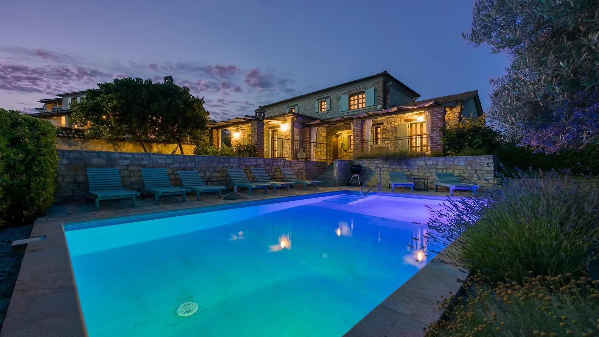 Villa Vila Aryana With Pool - Happy Rentals Sveti Lovrec Pazenaticki